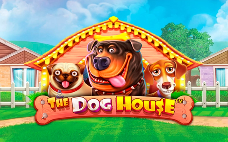 Start playing the The Dog House slots game on BC Game.