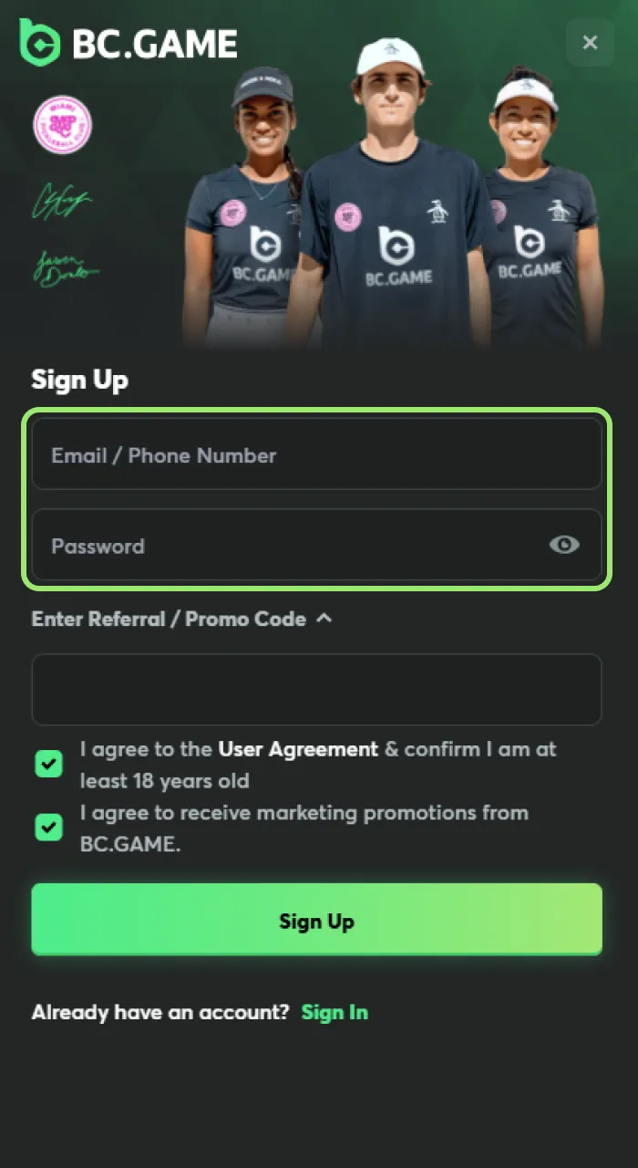 Enter your contact info on BC Game to proceed with registration.