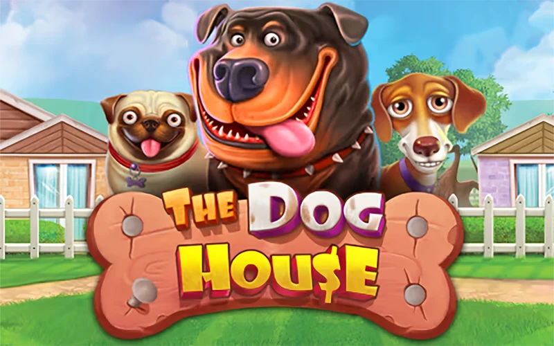 Play the dog-themed slot, The Dog House, at BC Game.