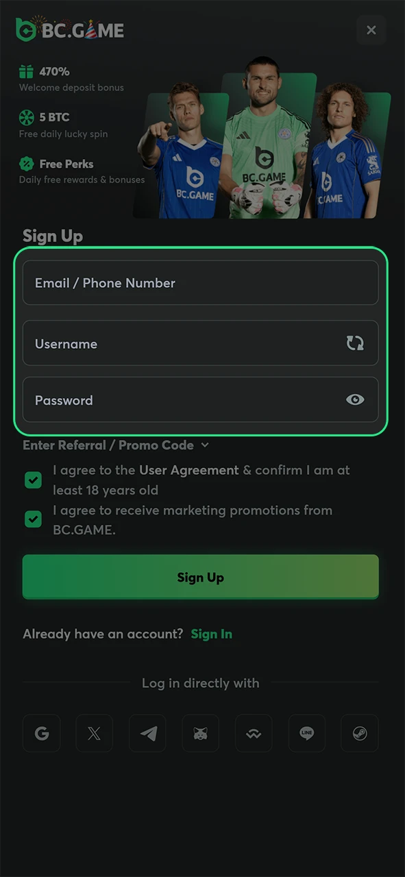 Enter your details accurately to complete your BC Game Registration in minutes.